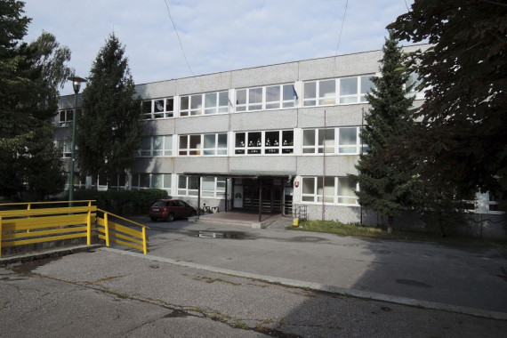 Čierne a biele dievčatá jesť mačička